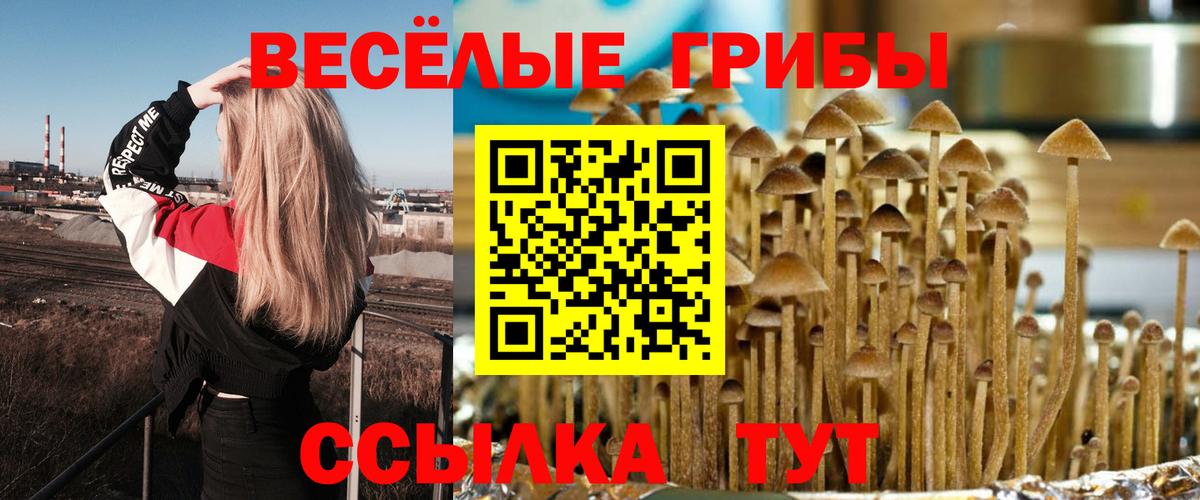 Галлюциногенные грибы ЛСД Орск