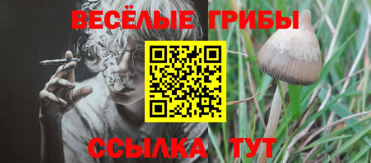 Орск  Псилоцибиновые грибы Psilocybine cubensis  Вход с VPN 